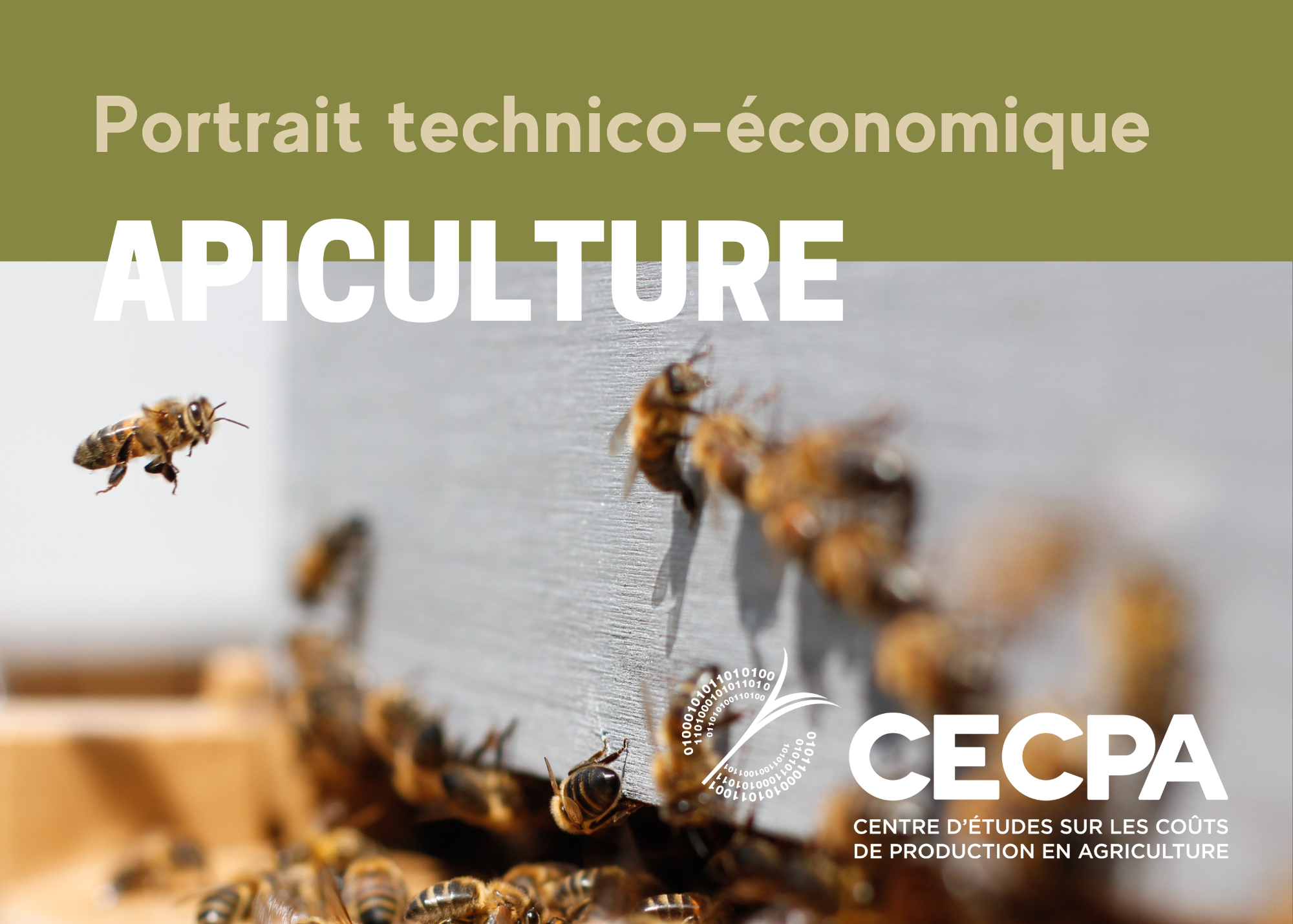 Informations complémentaires : Portrait technico-économique - Apiculture 2022